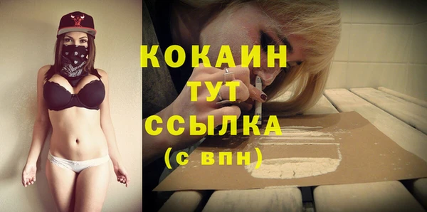 тгк Алексин