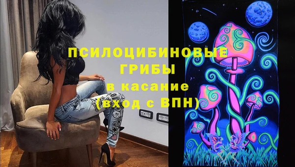 тгк Алексин