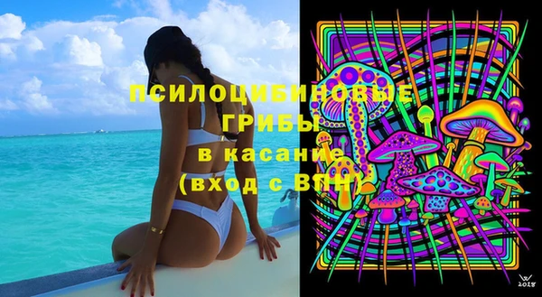 тгк Алексин