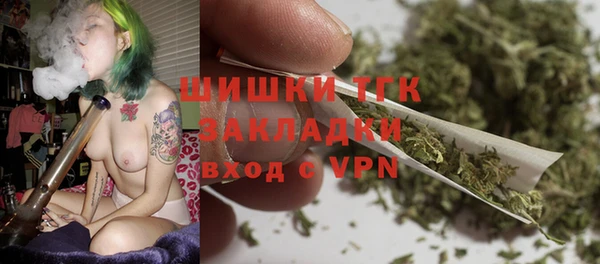 тгк Алексин