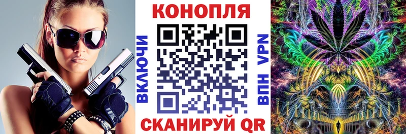 Канабис LSD WEED  закладки  Сургут 